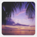 Search for greg stickers Palm tree