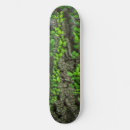 Search for black forest skateboards Tree
