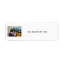 Search for pet bird return address labels Macaw