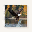 Search for catching notebooks Fish