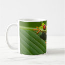 Search for green tree frog mugs Amphibian