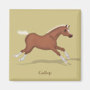 Search for galloping magnets Equestrian