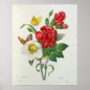 Recherche de oeillets posters Papillon