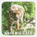 Recherche de felines chat autocollants Noir