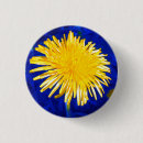 Recherche de pissenlit badges Fleur