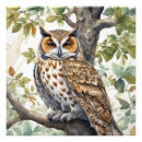 Recherche de illustration hibou posters Amoureux des animaux
