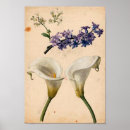 Recherche de copies botaniques posters Blanc