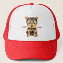 Search for yorkie hats Pet