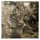 Recherche de deer hunting Whitetail