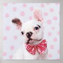 Recherche de puppy posters Bulldog
