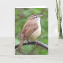 Recherche de roitelet vœux cartes Roitelet de caroline