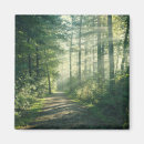 Search for forest path magnets Footpath