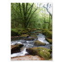 Recherche de amarre posters Bois
