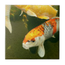Recherche de carpe carreaux Koi