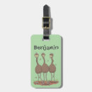 Search for cute emu Wildlife