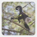 Search for wild side stickers Wildlife