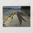 Search for kayaks postcards Trip