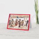 Recherche de mascarade vœux cartes Chat