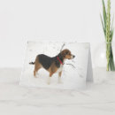 Recherche de chasse neige cartes postales Chien