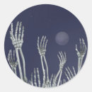 Search for 31st stickers Skeletons