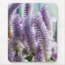 Search for flower closeup mousepads Bloom