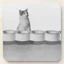 Search for head barware Black and white