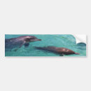 Search for dolphin bumper stickers Water