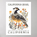 Recherche de cailles posters Nature