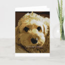 Search for cavapoo cards Pet