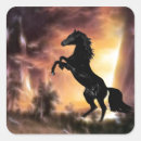 Search for black stallion stickers Animal