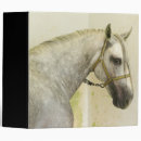Recherche de étalon bureau fournitures Cheval
