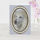 Search for dog apology cards Forgiveness