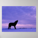 Search for howling dog posters Wolf