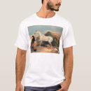 Search for stallion clothing Arabian