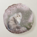Recherche de minou persan Chat