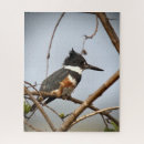 Recherche de martin pêcheur puzzles Nature