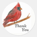 Recherche de cardinal bird stickers Nature