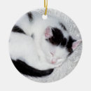 Search for kitten ornaments Black and white
