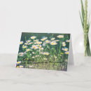 Search for daisy like cards Garden