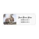 Search for squirrel return address labels Wildlife