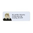 Search for bald eagle return address labels Photography