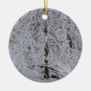 Search for birch trees ornaments Snow