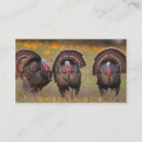 Recherche de dinde cartes visite Animal