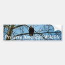 Search for feathers bumper stickers Eagle