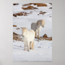 Search for snow white posters Mare
