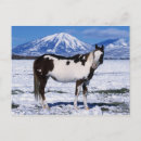 Recherche de peintures de cheval cartes postales Équestre