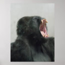 Recherche de gorilles posters Nature