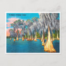 Recherche de cypress tree cartes postales Vintage