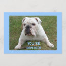 Search for bulldog birthday invitations English