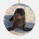 Search for baby seal ornaments Sea lion